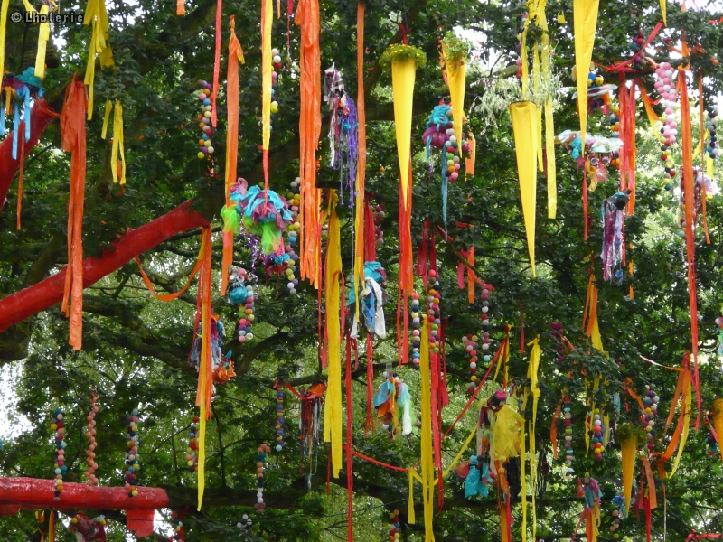 Landart, fanions colorÃ©s