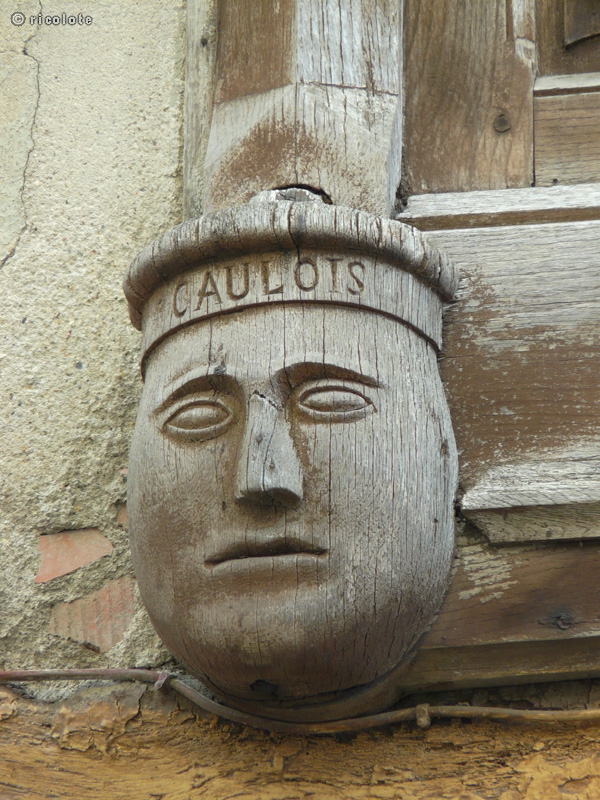 Le Caulois