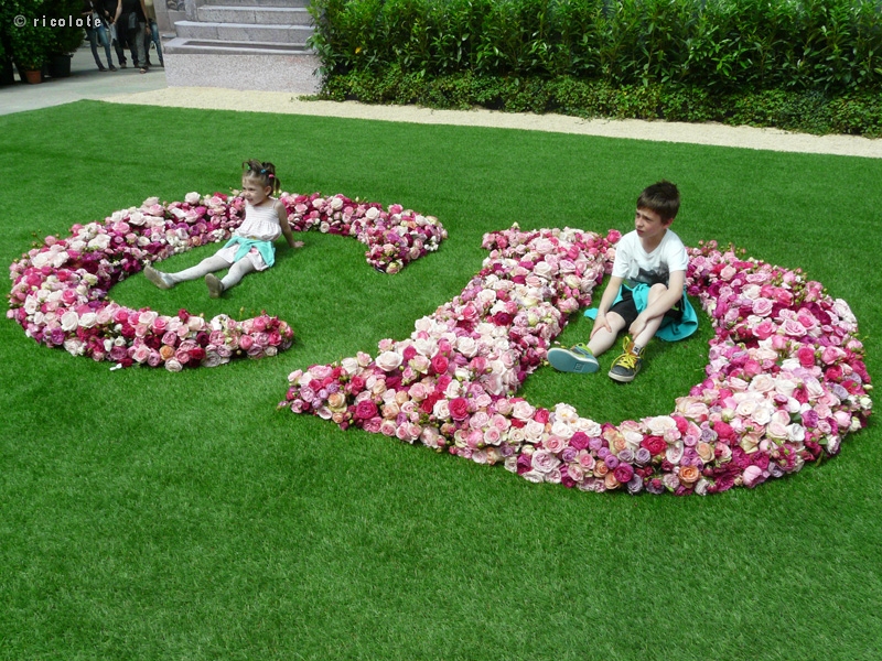 Lettres de roses