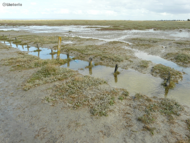 MarÃ©e basse
