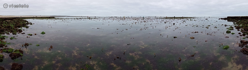MarÃ©e basse