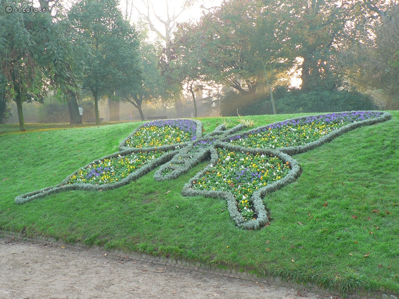 MosaÃ¯culture papillon