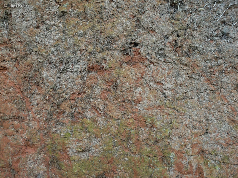 Mur en torchis