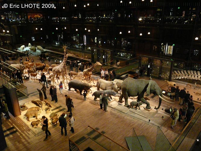 MusÃ©um d'histoires naturelles de Paris