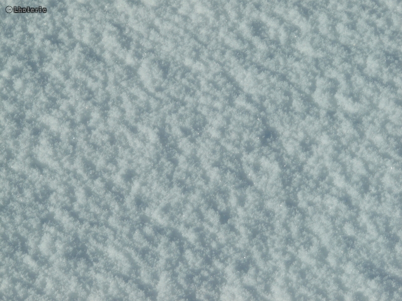 Neige