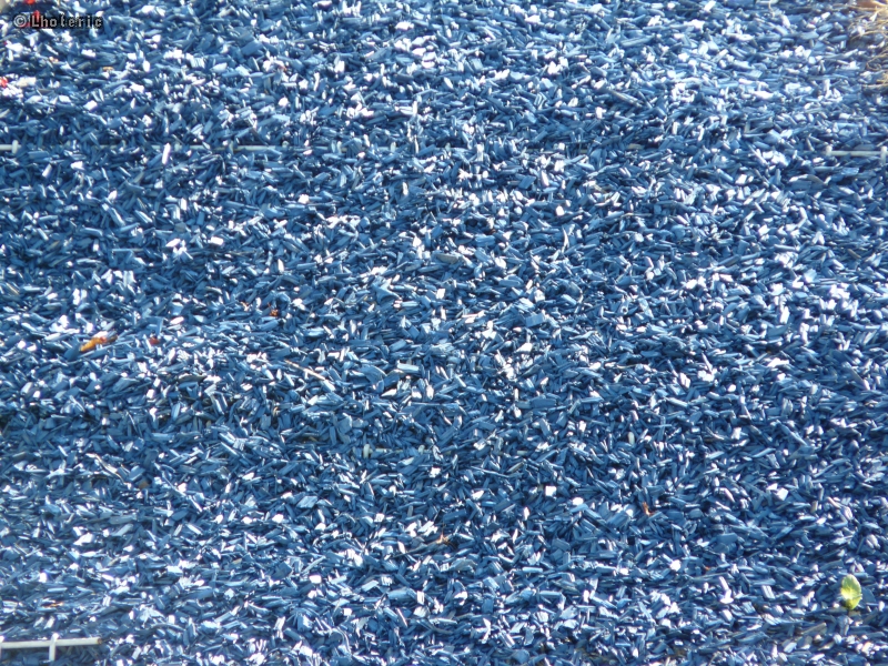 Paillage copeaux de caoutchouc bleu