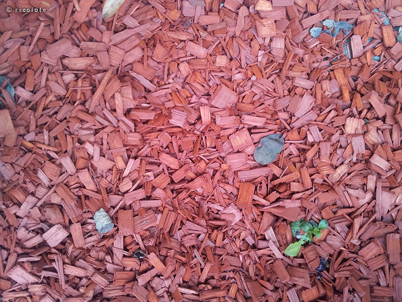 Paillage Ã©clats de bois rouges