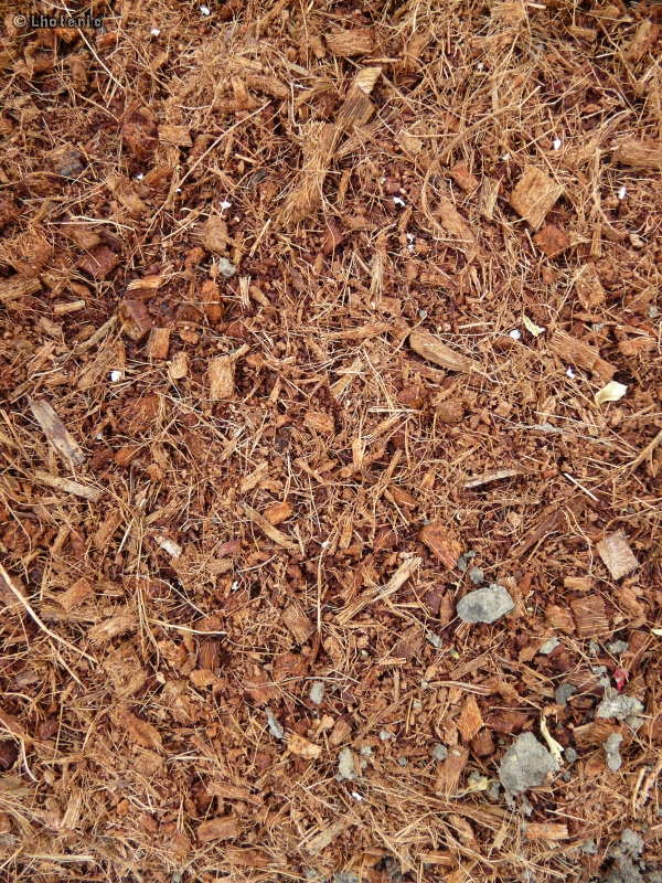 Paillage Ã©clats et fibre de coco
