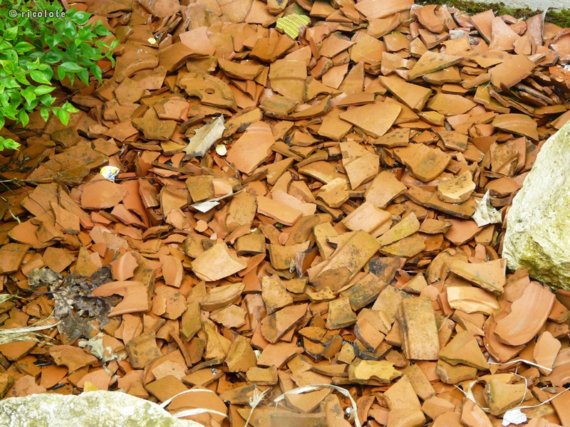 Paillage en tessons de terre cuite