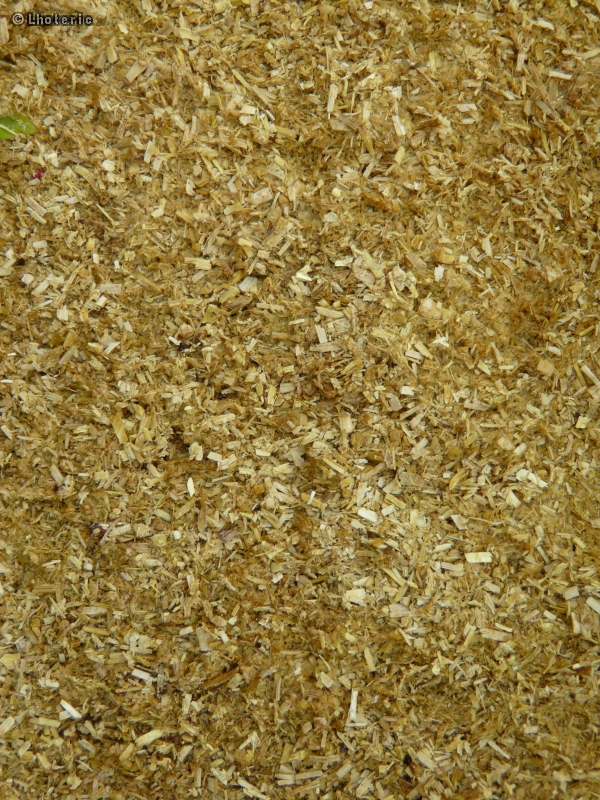 Paillage paillette de lin