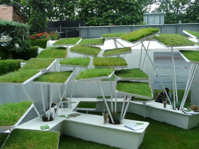 Parasols en gazon
