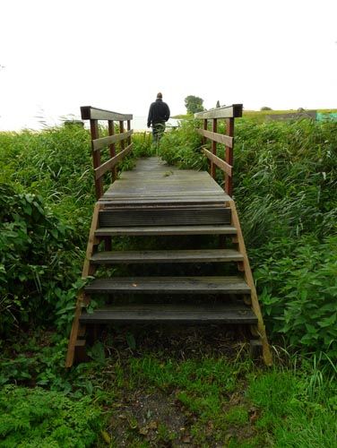Passerelle bois