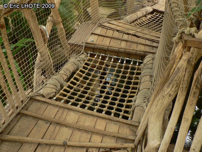 Passerelle bois et cordages