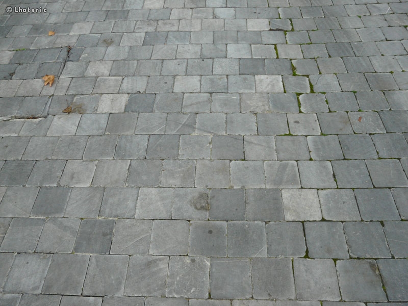 Pavage