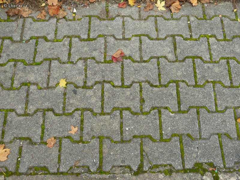 PavÃ© bÃ©ton autobloquant