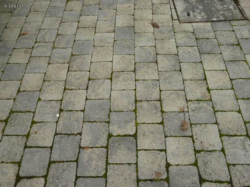 PavÃ©s bÃ©ton