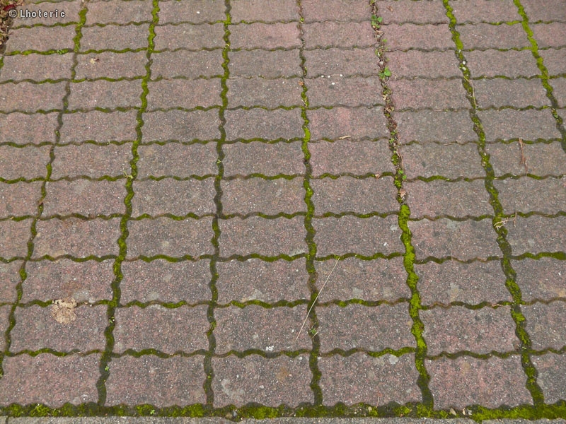 PavÃ©s bÃ©ton ondulÃ©s