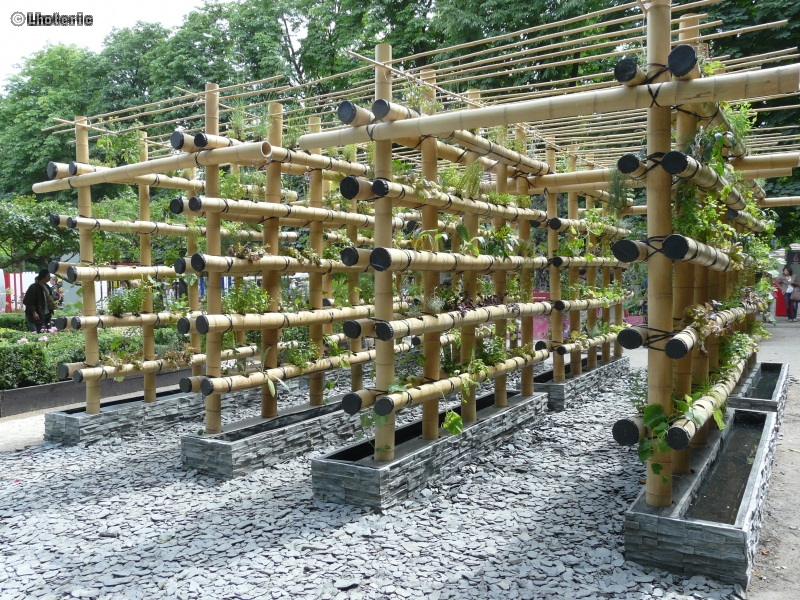 Pergola en bambou