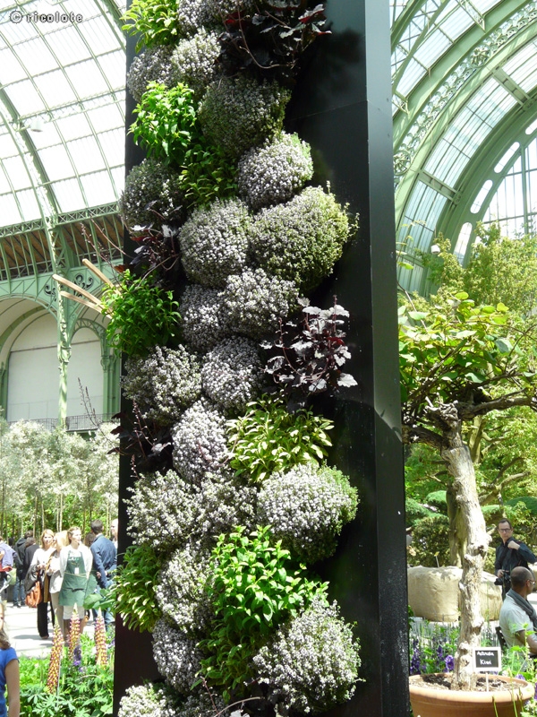 Petit mur vÃ©gÃ©tal