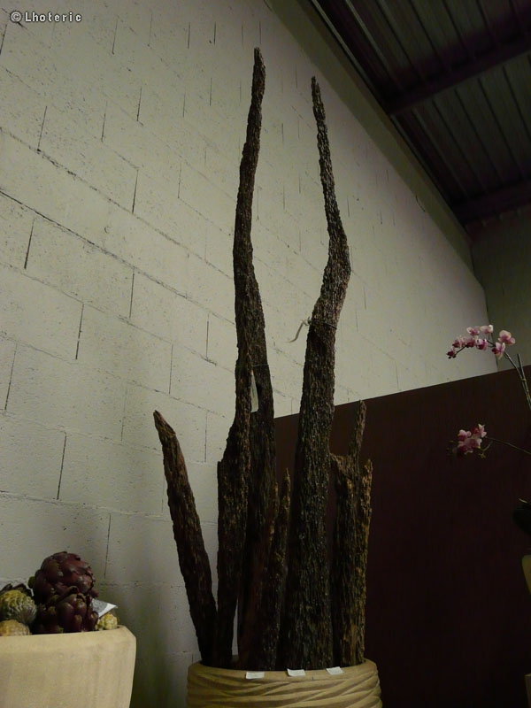 Pilotis dÃ©coratifs