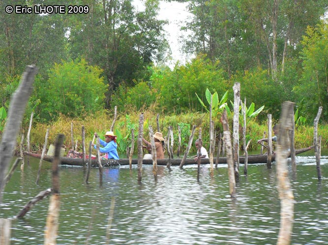 Pirogue