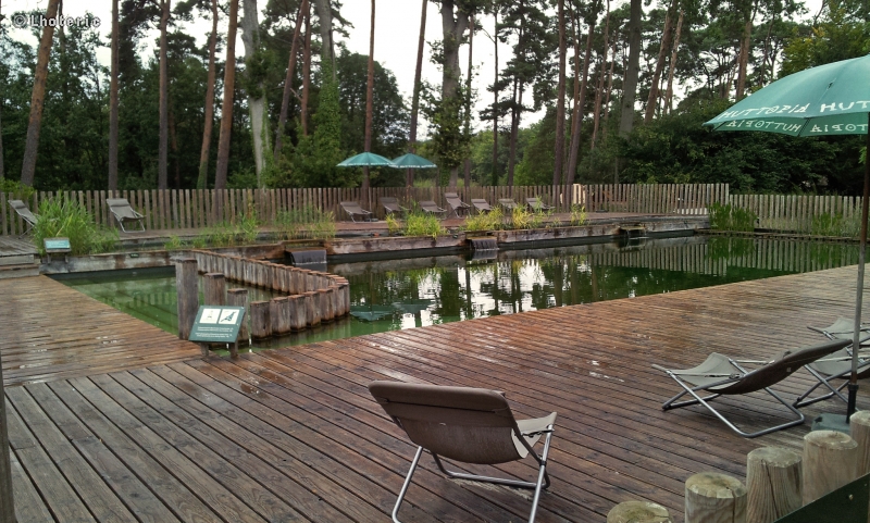 Piscine huttopia dans la forÃªt