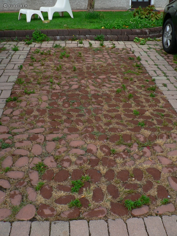 Place de parking