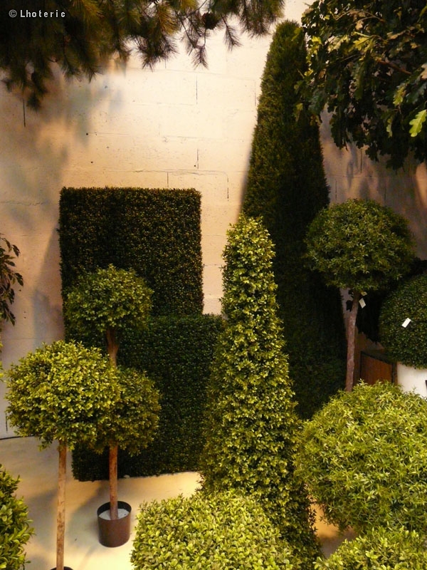 Plantes synthÃ©tiques