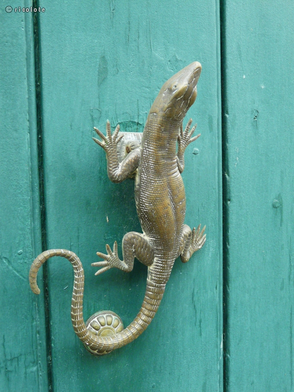 PoignÃ©e de porte en lÃ©zard