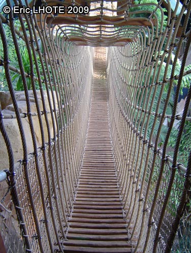 Pont de cordes