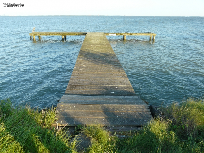 Ponton