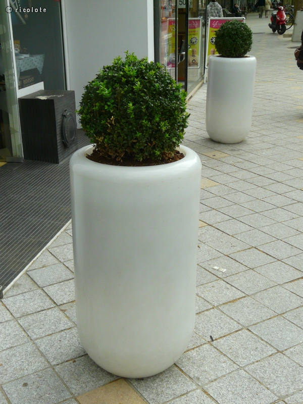 Pots en rÃ©sine translucide