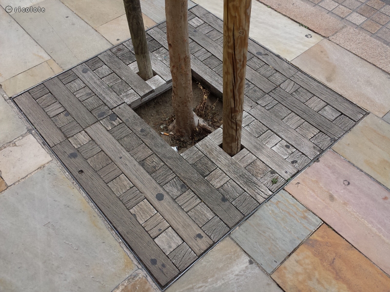 Protection pied d'arbre