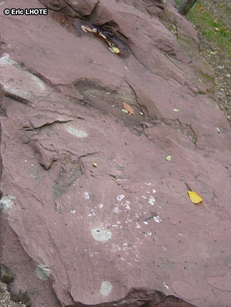 Roche basaltique