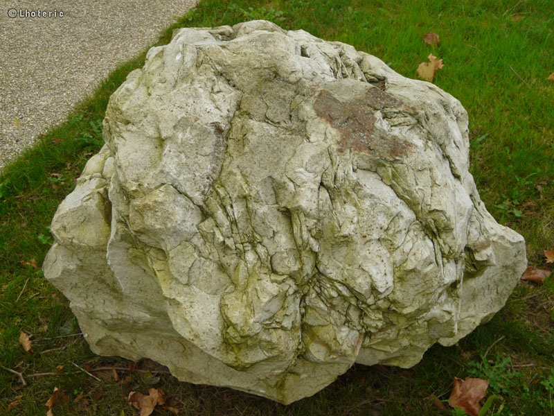 Roche blanche