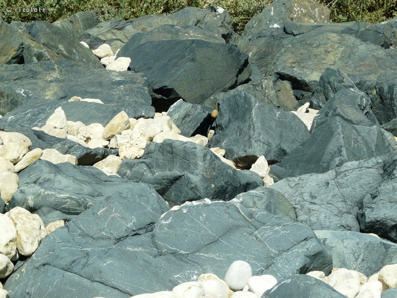 Rochers noirs