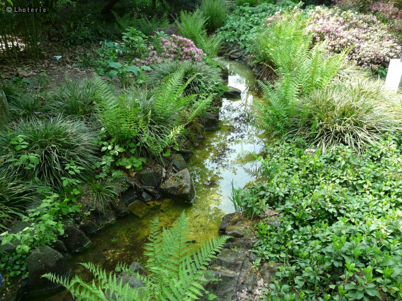 Ruisseau fougÃ¨res et enrochements