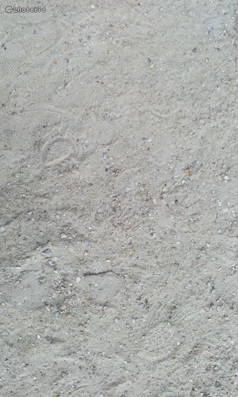 Sable stabilisÃ©
