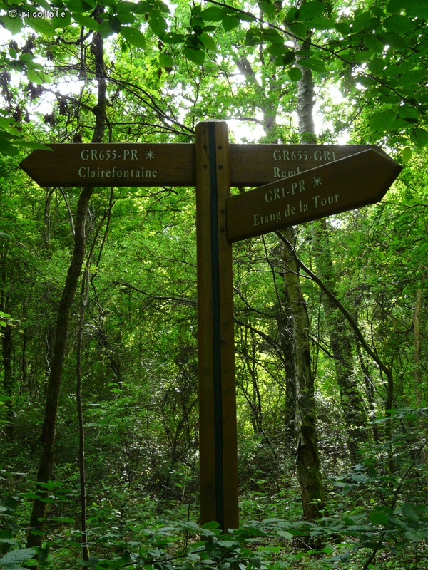 Signalisation forestiÃ¨re