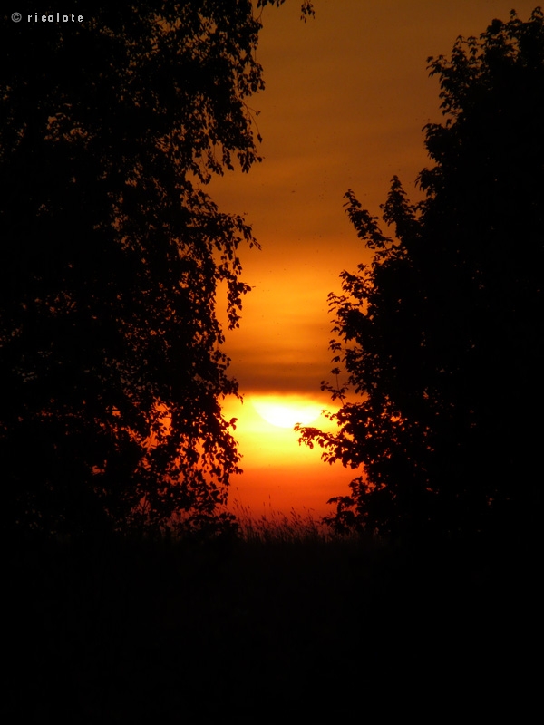 Soleil couchant