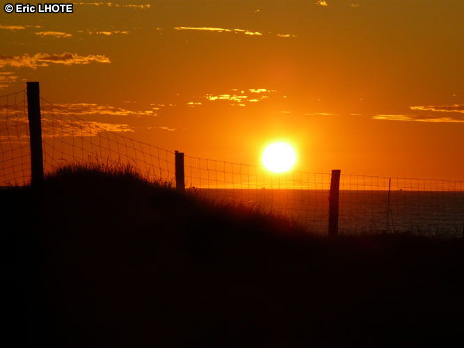 Soleil couchant sur les dunes