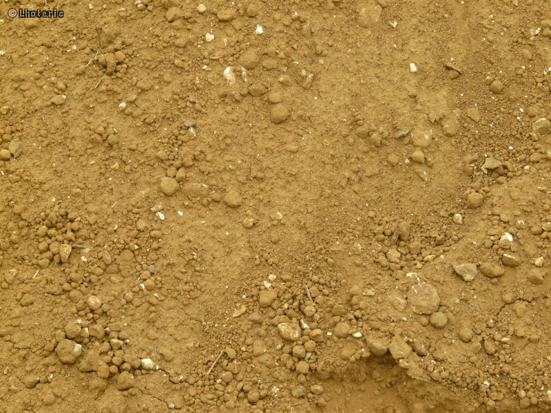 Terre sableuse ocre