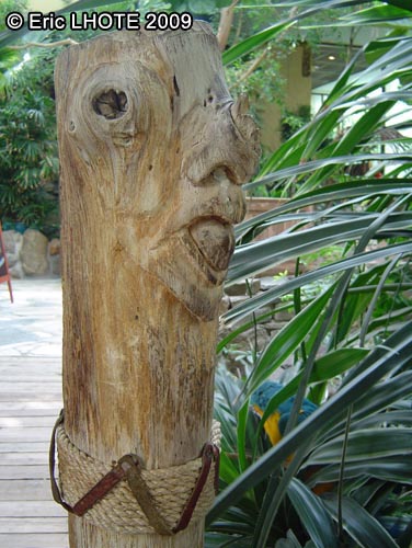 TÃªte en bois