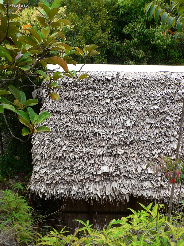 Toiture en feuilles de palmes