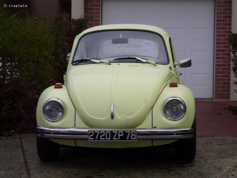 Vieille coccinelle