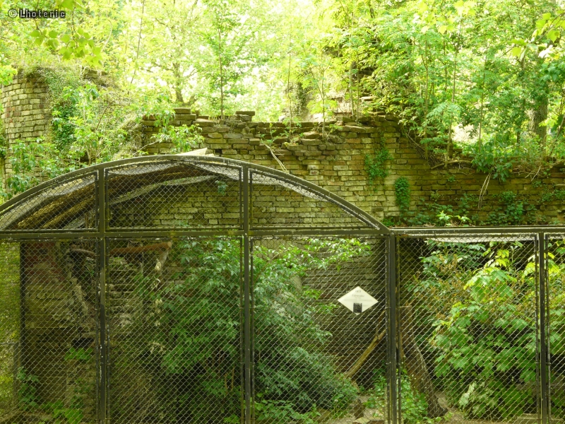 VoliÃ¨re et mur en ruine