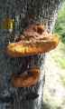-20120903235416.jpg