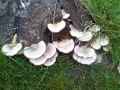 -20130711164452.jpg