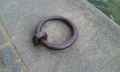 Anneau-d-amarrage-20120904000906.jpg