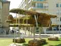 Avion-en-mousses-20120822191601.jpg